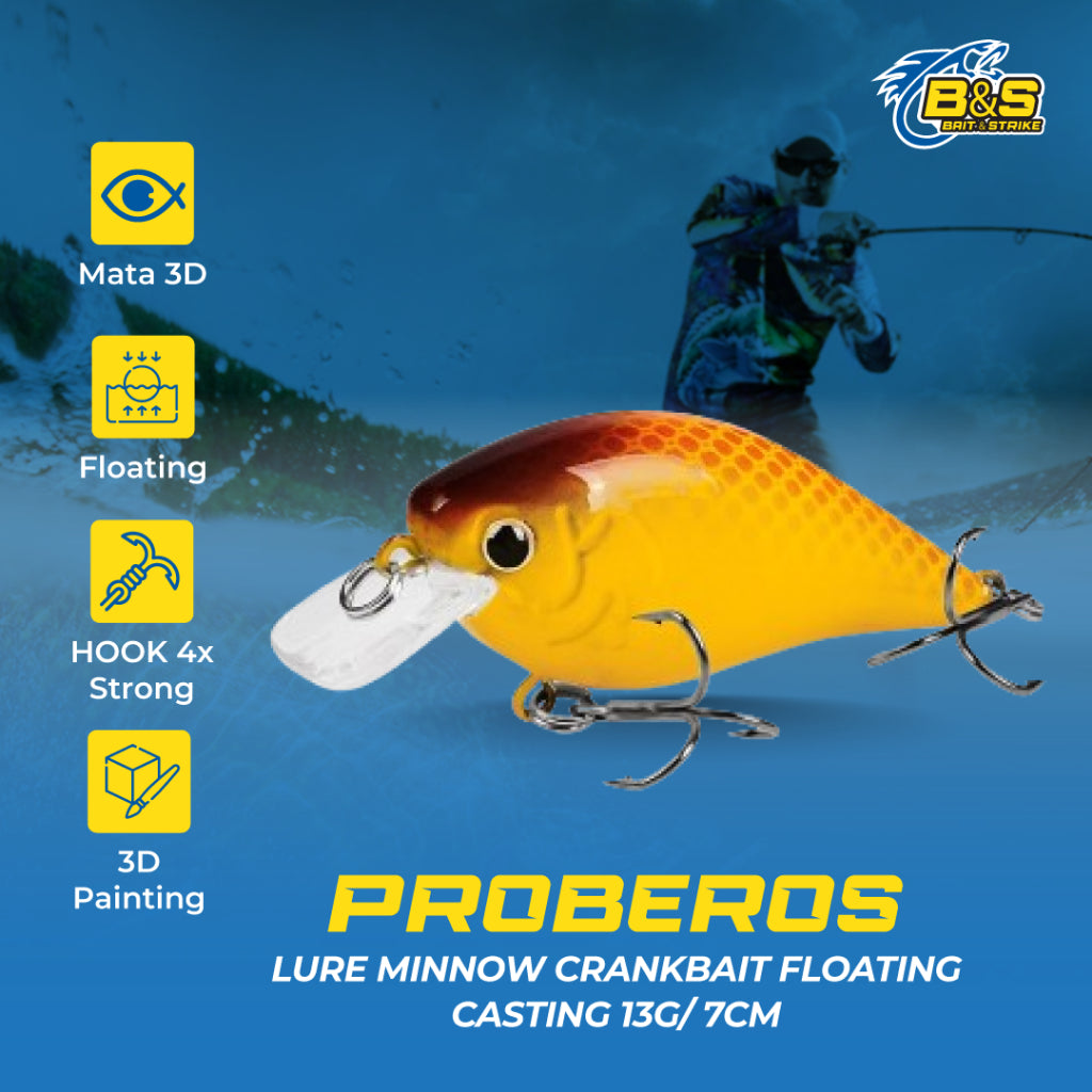 PROBEROS lure minnow Crankbait Floating 13g/7cm umpan pancing Casting MN133